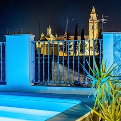 Hoteles con SPA en Palma del Río 1 Casa de la señora