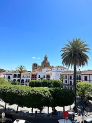 Hoteles con SPA en Carmona 6 Hotel Servilia