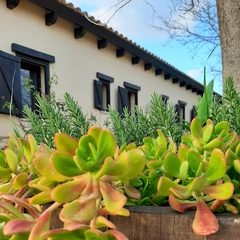 Hotel-Spa Enoturismo Mainetes